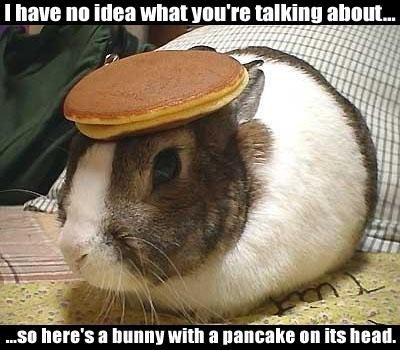 pancake-bunny.jpg